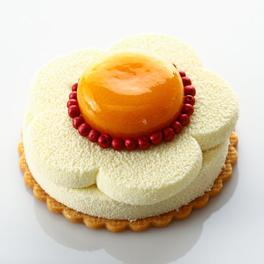 Vanilla & Mango Mousse Torte